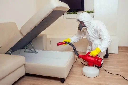 bed bug extermination clarington