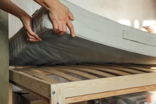 bed bug preparation clarington