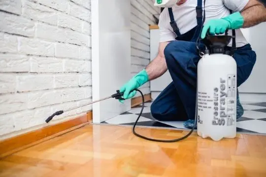 bed bug prevention clarington