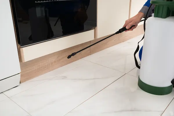cockroach extermination clarington