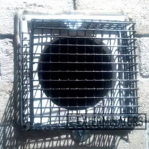mouse exclusion clarington