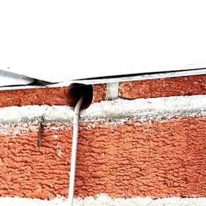 mouse inspection clarington