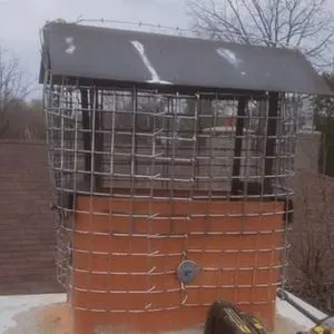 raccoon exclusion clarington