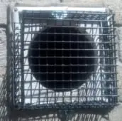 rat exclusion clarington