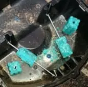 rat extermination clarington