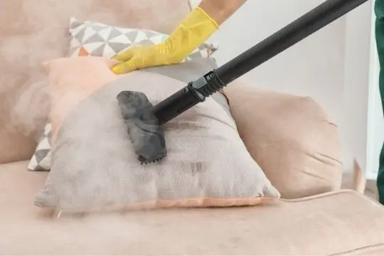 steam bed bug treatment clarington